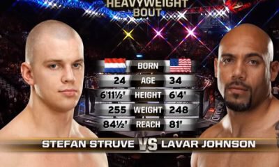 Stefan STRUVE vs Lavar JOHNSON - UFC 146