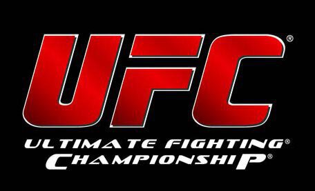 UFC on FX 7 - Video Replay.