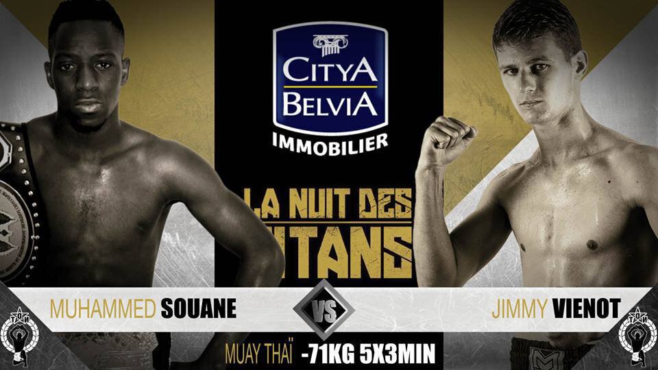 Jimmy Vienot vs Mohamed Souane - Full Fight Video - NDT 2016