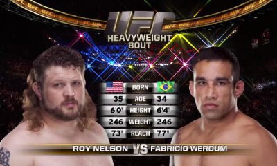 Fabricio Werdum vs Roy Nelson - Fight Video - UFC 143
