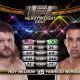Fabricio Werdum vs Roy Nelson - Fight Video - UFC 143